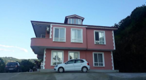 Pink village home